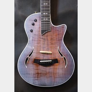 Taylor、T5 - T5zの検索結果【楽器検索デジマート】