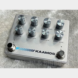 Darkglass Electronics KAAMOS