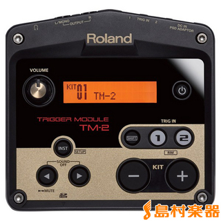 RolandTM-2 音源モジュール