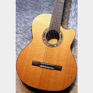 Orpheus Valley Guitars F65CW-7S【激エモ7弦エレガット】【現物写真】【池袋店在庫品】