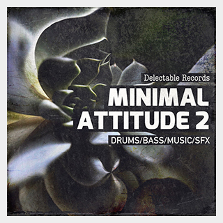 DELECTABLE RECORDS MINIMAL ATTITUDE 02