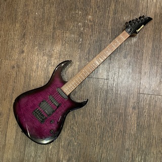 美品 超希少 Fernandes APG series 500本限定品 付属品付 HJP250 | ギアプレートセット:i70