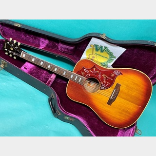 アコースティックギター、Gibson、Humming Birdの検索結果【楽器検索