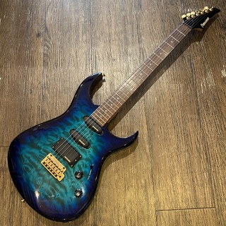 fgZの検索結果【楽器検索デジマート】