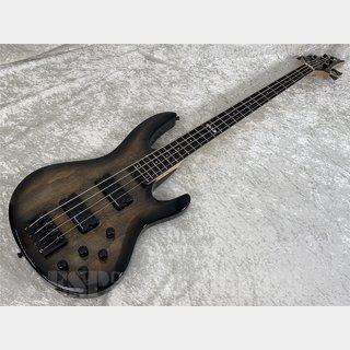 ベース、E-IIの検索結果【楽器検索デジマート】