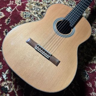 ASTURIAS DOUBLE TOP/C/J/Selec