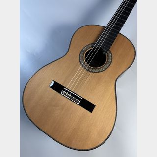 ASTURIAS ルネサンスC 630mm