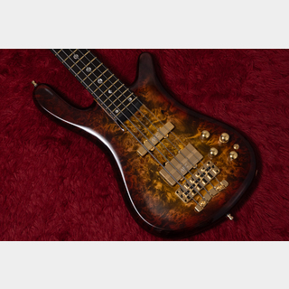 Warwick CS Streamer Stage II 5 Limited 2025 Master Reserve Poplar Burl top 4.420kg #M164264-25【GIB横