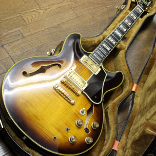 ibanez as200の検索結果【楽器検索デジマート】