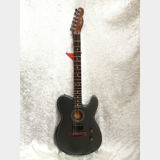 アコースティックギター／エレクトリック・アコースティックギター
