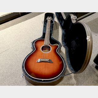 アコースティックギター／エレクトリック・アコースティックギター