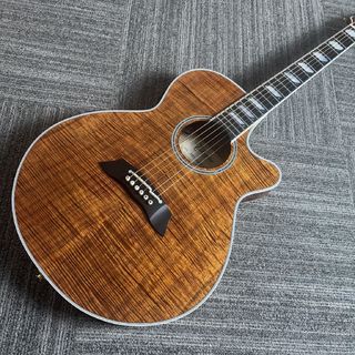 アコースティックギター／エレクトリック・アコースティックギター