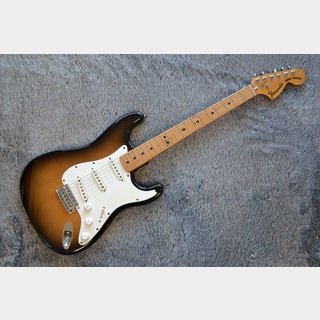 エレクトリックギター、FERNANDESの検索結果【楽器検索デジマート】