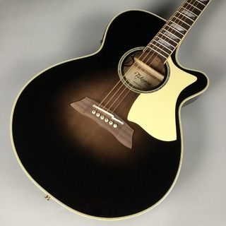 Takamine TSP10CS エレアコ アコースティックギター 630mmスケール【現物画像】