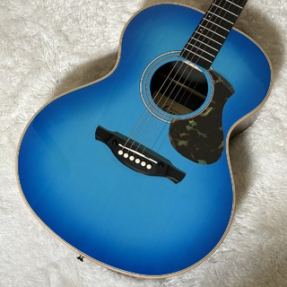 JamesJ-300A II Earth Blue アコースティックギター アジャスタブルサドル【現物写真】