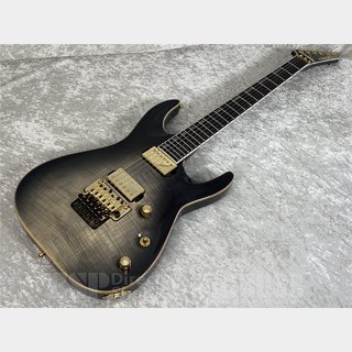 エレクトリックギター、フロイドローズの検索結果【楽器検索デジマート】