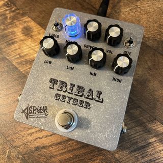 A.S.P. GEAR、TRIBAL GEYSERの検索結果【楽器検索デジマート】