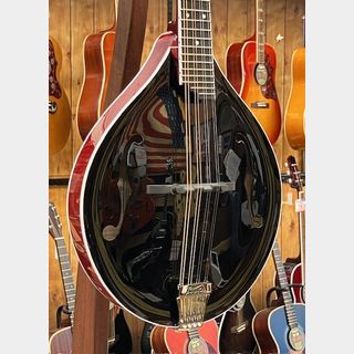 Bulas A-Style "Black" Mandolin Custom Inlay