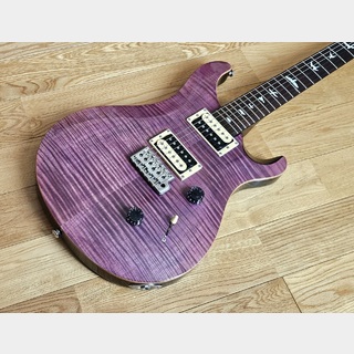 Paul Reed Smith(PRS) SE Custom 24 