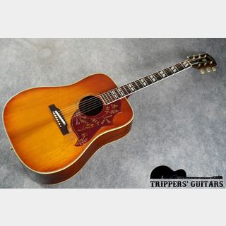 アコースティックギター、Gibson、Humming Birdの検索結果【楽器検索