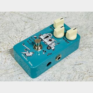 Animals Pedal Relaxing Walrus Delay