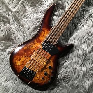 Ibanez 【現物画像】SR5PBLTD