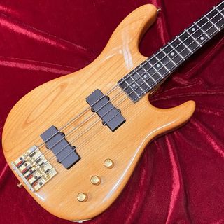 PEAVEY Palesim Bass