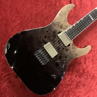 E-II M-II NT HS BM Black Natural Fade【USED】