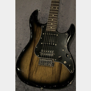 エレキギター、FUJIGEN(FGN)の検索結果【楽器検索デジマート】