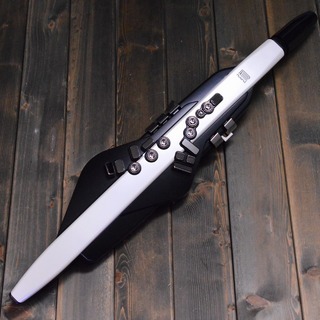 Roland Aerophone AE-20 | デジタル管楽器【展示品特価】