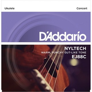D'AddarioEJ88C　Concert Ukulele [ウクレレ弦]