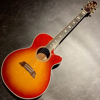 Takamine Takamine タカミネ DSP116A (FCB) エレアコ
