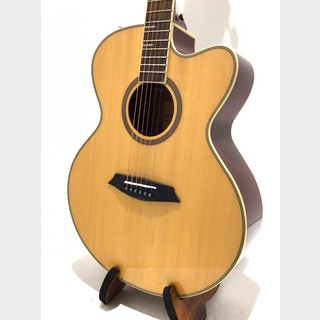 アコースティックギター／エレクトリック・アコースティックギター