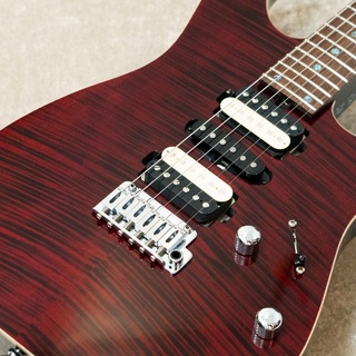 T's Guitars DST-Pro 24 Mahogany Limited -Black Cherry- 【USED】