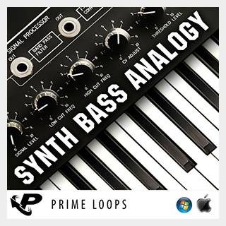 PRIME LOOPSMULTI SYNTH BASS ANALOGY