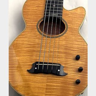 アコースティック・ベース／エレアコ・ベースの検索結果【楽器検索