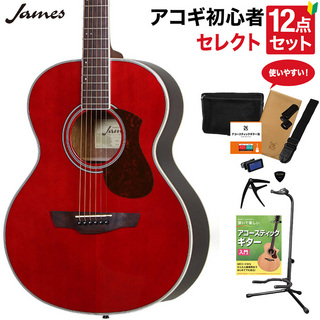 JamesJ-300A TRD アコースティックギター 教本付きセレクト12点セット 初心者セット