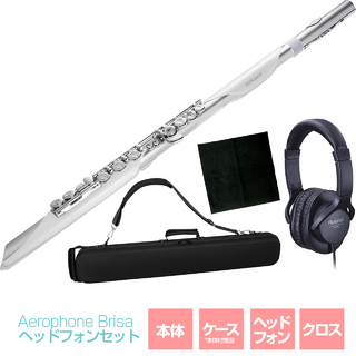 Roland AE-BRISA - Aerophone Brisa ヘッドホンセット ウィンドシンセサイザー フルートスタイル エアロフォン