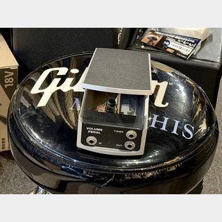 ERNIE BALL、6166の検索結果【楽器検索デジマート】