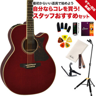 Takamine DMP50S WR ギター担当厳選 アコギ初心者セット エレアコギター 【島村楽器 x Takamine コラボモデル】