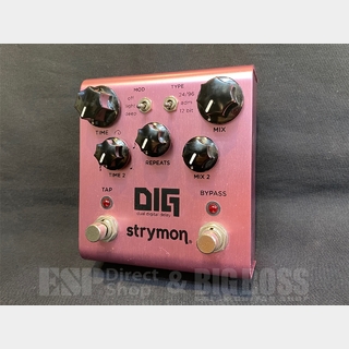 strymon DIG