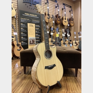 TaylorCustom GAFce "AA"Quilt Maple V-Class