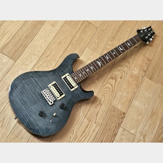 Paul Reed Smith(PRS) SE Custom 24 