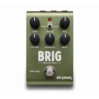 strymon 【展示処分特価】BRIG【dBucket Delay】