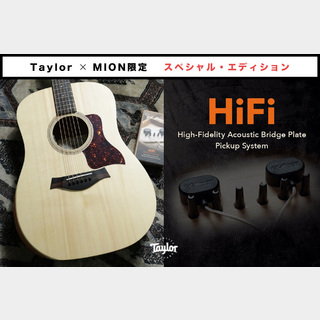 TaylorAcademy 10 Special Edition by MION 【Taylor公認 リペアマン在籍店】