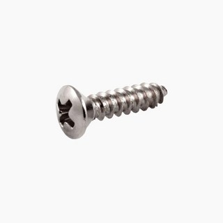ALLPARTS PACK OF 20 STAINLESS PICKGUARD SCREWS/GS-0001-005【お取り寄せ商品】