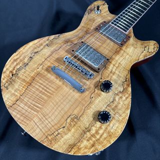 T's Guitars Arc-STD22 SPL LUX【現物写真】