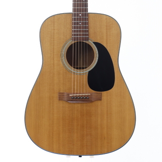 【2日間値下げ中】Martin D-18 Martin D-18