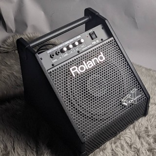 Roland PM10
