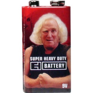 Electro-HarmonixEHX 9V Battery 9V形 マンガン電池